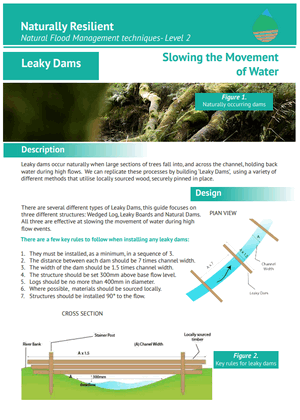 Leaky Dams Factsheet