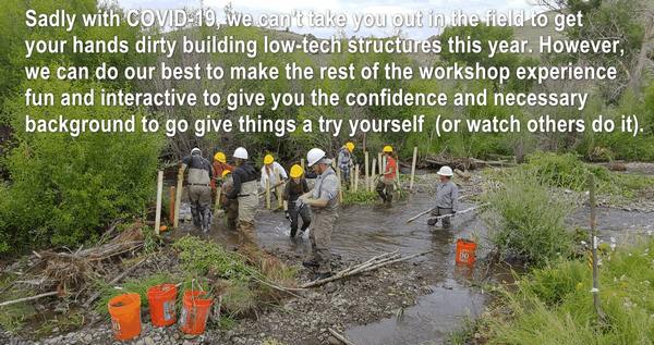 No Field Workshop