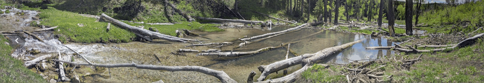 Temple Fork Panorama