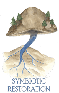 Symbiotic Restoration