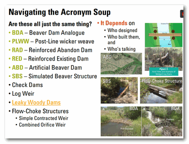 Acronym Soup diagram