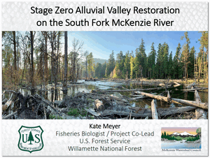 South Fork McKenzie Slide