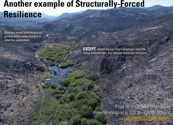 Fire Resilience