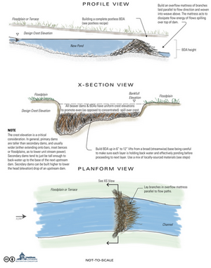 BDA schematic