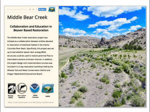 Parish Creek