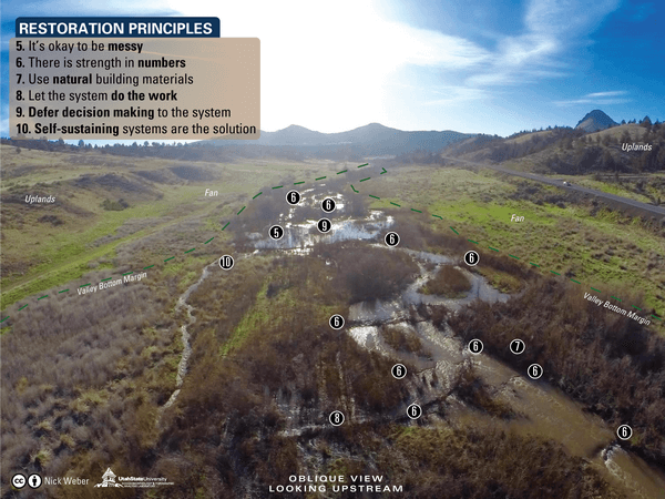 Restoration Principles