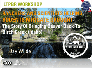Jay Wilde Birch Creek