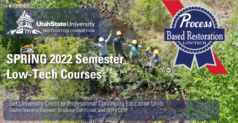 Spring 2022 Courses