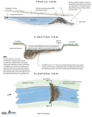 Riverscapes Restoration Design Manual