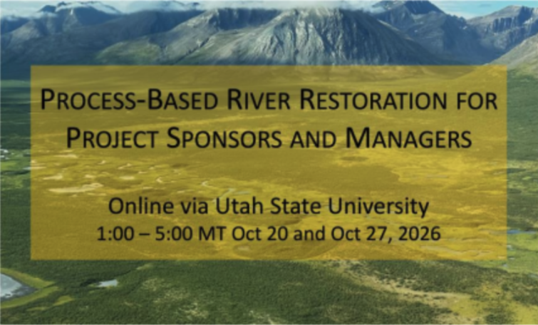 Process-Based River Restoration