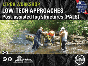 Slides (PDF) image