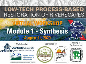 Slides (PDF) image