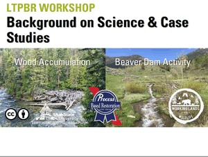 Slides (PDF) image