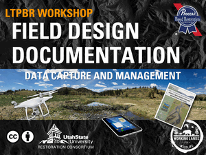 Slides (PDF) image